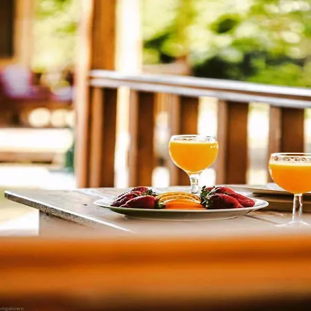 Secret Garden & Camping 4*