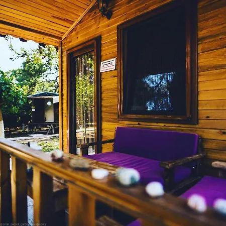 Secret Garden & Camping