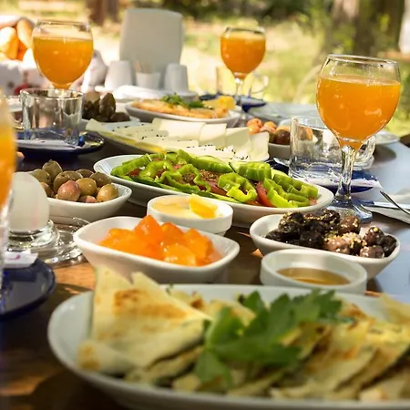 Secret Garden & Camping Çıralı