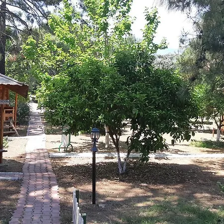 Secret Garden &