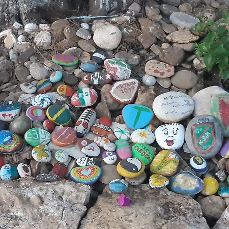 Camping Secret Garden &