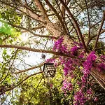 Camping Secret Garden &