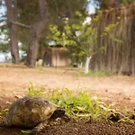 Camping Secret Garden & Çıralı