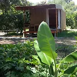 Camping Secret Garden & 4*