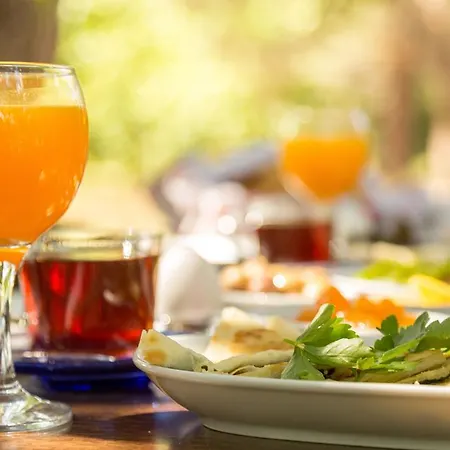 Secret Garden Hotel&bungalows 4* Çıralı