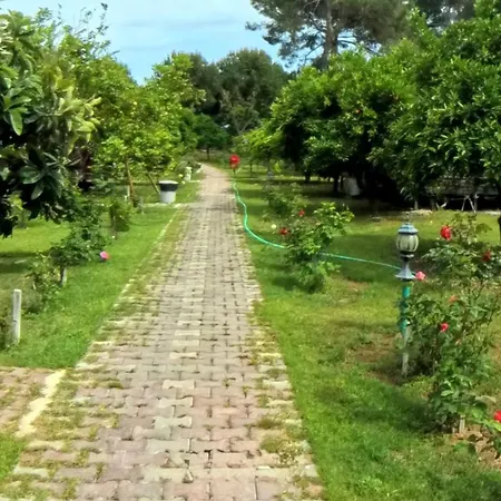 Secret Garden & Kamp alanı