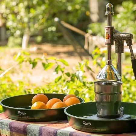 Campsite Secret Garden & Cirali