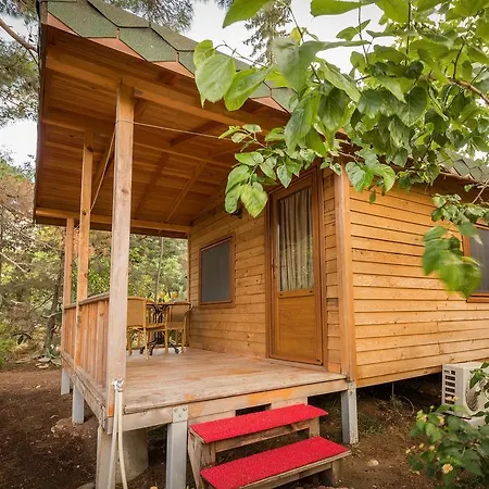 Secret Garden Hotel&bungalows 4* Çıralı