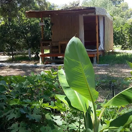 Campsite Secret Garden & 4*