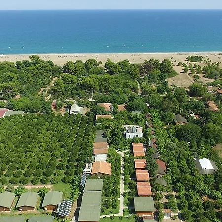 Campsite Secret Garden & 4*