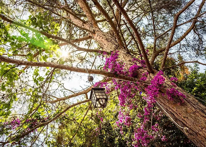 Campsite Secret Garden &