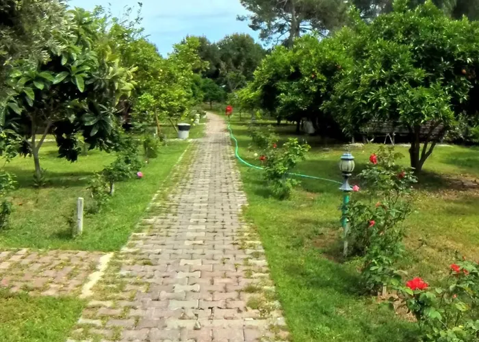 Secret Garden & Campsite