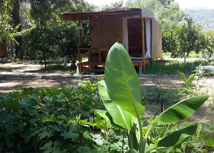 Kamp alanı Secret Garden & 4*